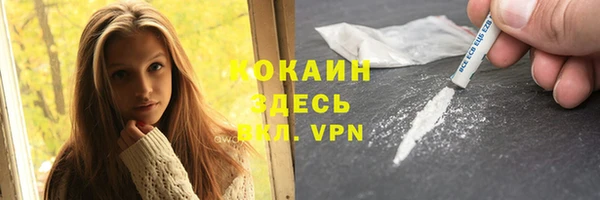 индика Бугульма