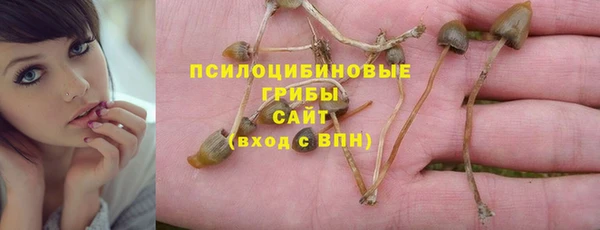 индика Бугульма
