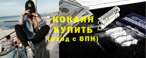 индика Бугульма