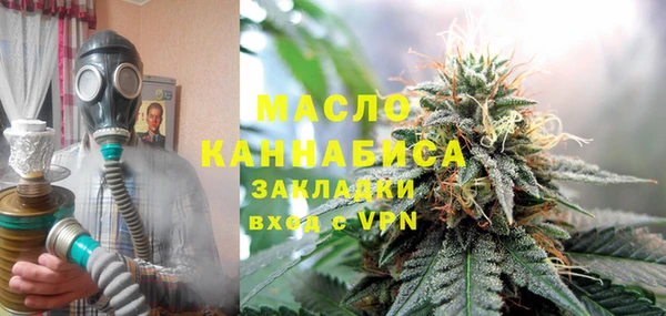 индика Бугульма