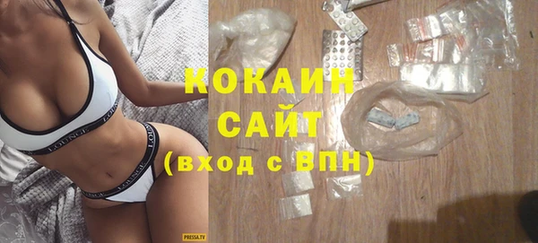 индика Бугульма