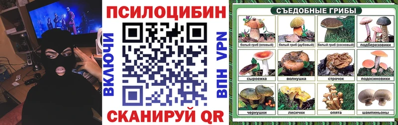 omg сайт  Свободный  Галлюциногенные грибы Psilocybine cubensis  продажа наркотиков 