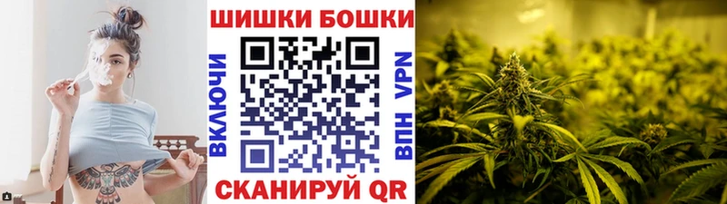 Конопля ГИДРОПОН как найти наркотики Свободный